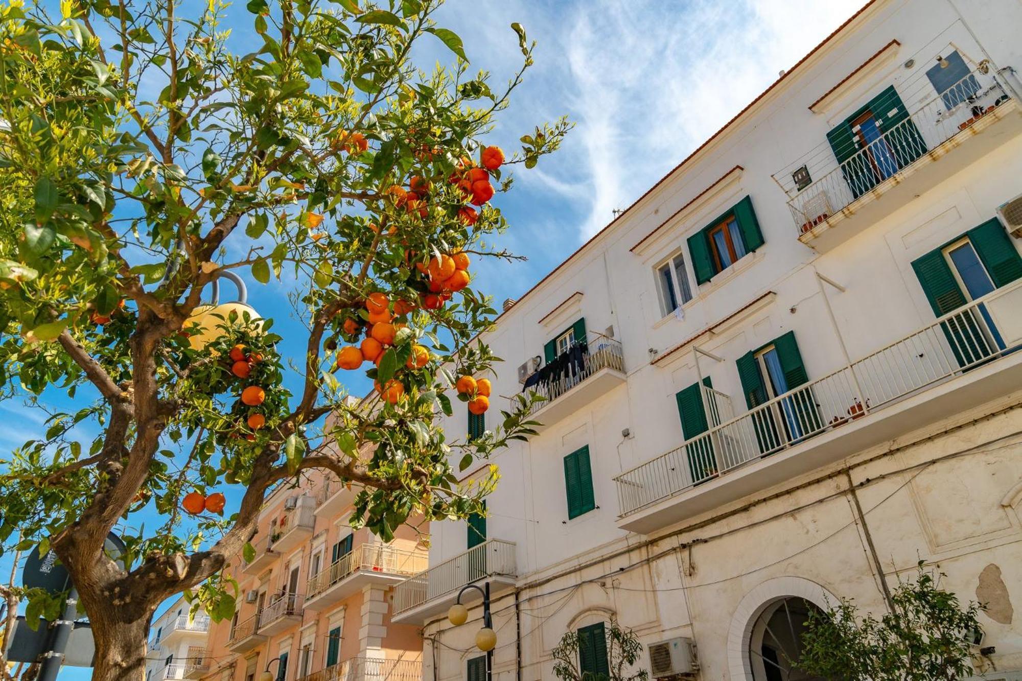 Villa Mapa - Appartamenti Vicino Al Mare Vieste Exterior photo